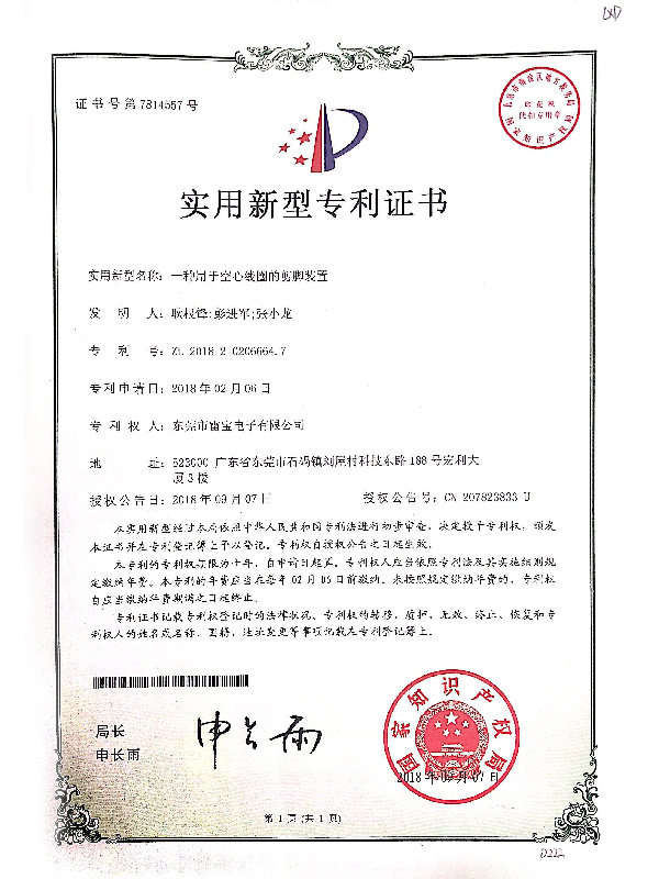 Patent Certificate